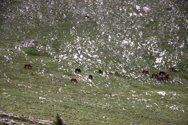 ../Images/2012.05.22 (134).jpg